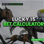 horse bet winnings calculator
